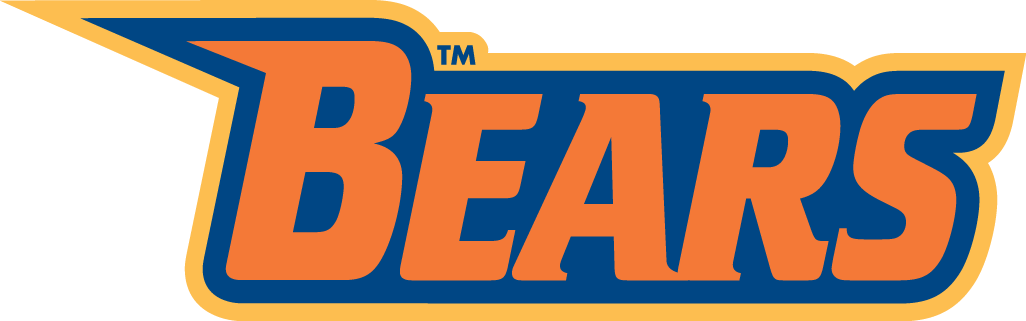 Morgan State Bears 2002-Pres Wordmark Logo v4 diy DTF decal sticker